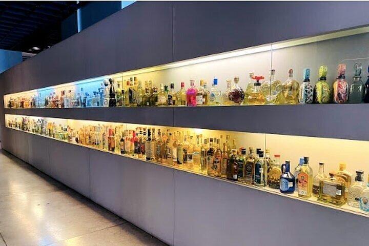 Guidet tur til Tequila og Mezcal Museum