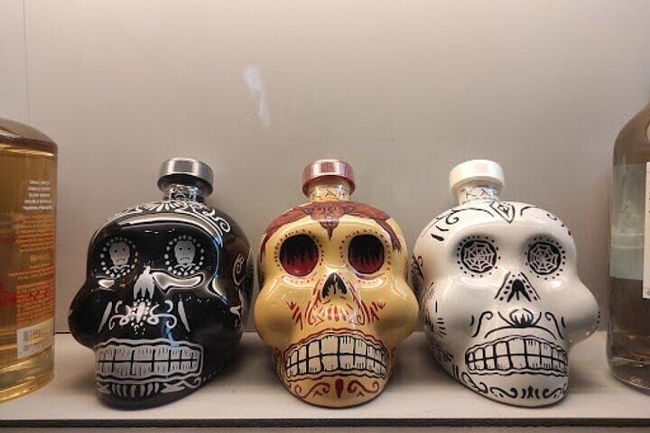 Guidet tur til Tequila og Mezcal Museum