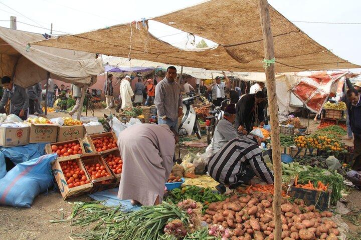 From Marrakech : Day Trip to Atlas Mountains with Camel Ride