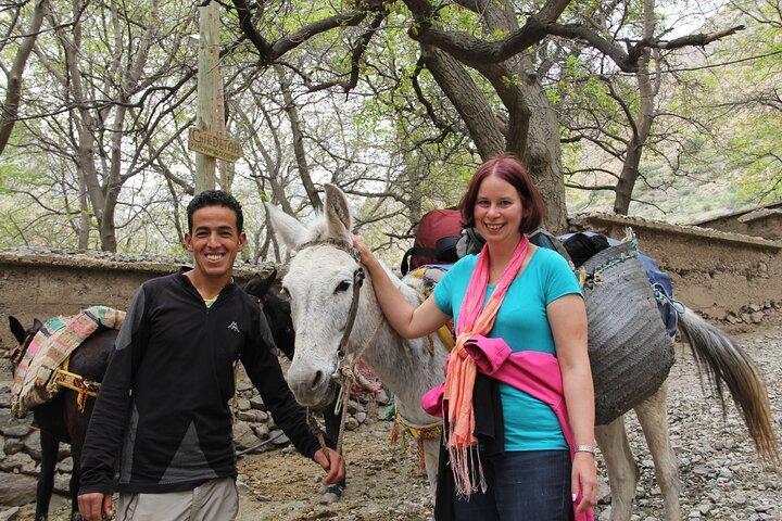 From Marrakech : Day Trip to Atlas Mountains with Camel Ride