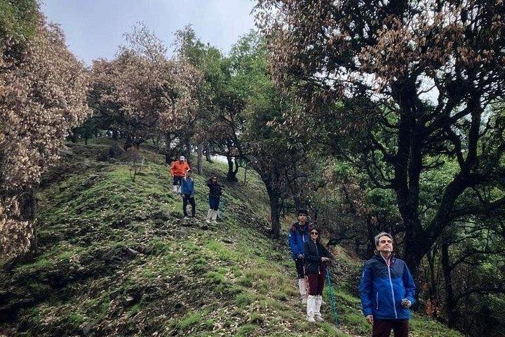 Kaflani Day Hike - Mussoorie