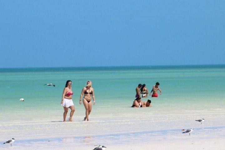 Holbox Ferry Adventure: Punta Mosquito from Tulum