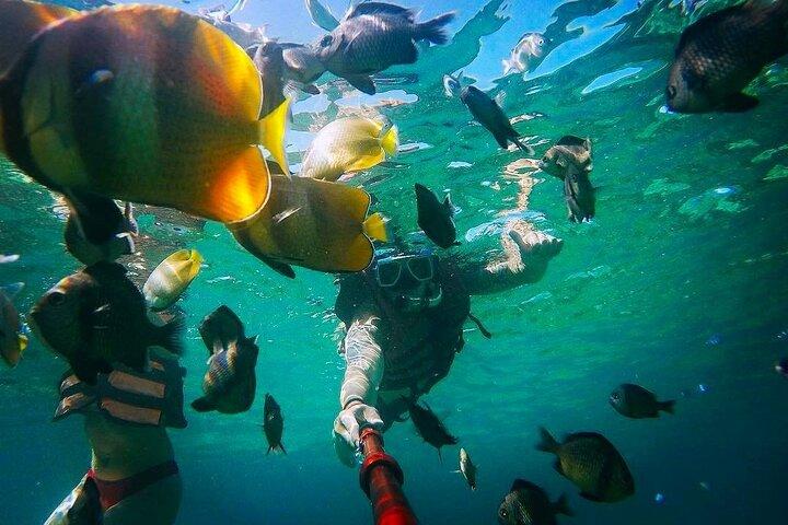 Excursión de esnórquel y de isla en isla en Boracay