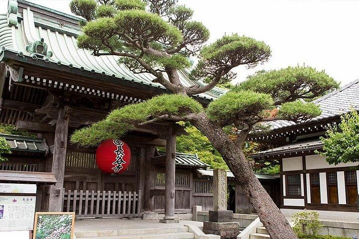 鎌倉全日ツアー、東京、横浜発着、2～12名