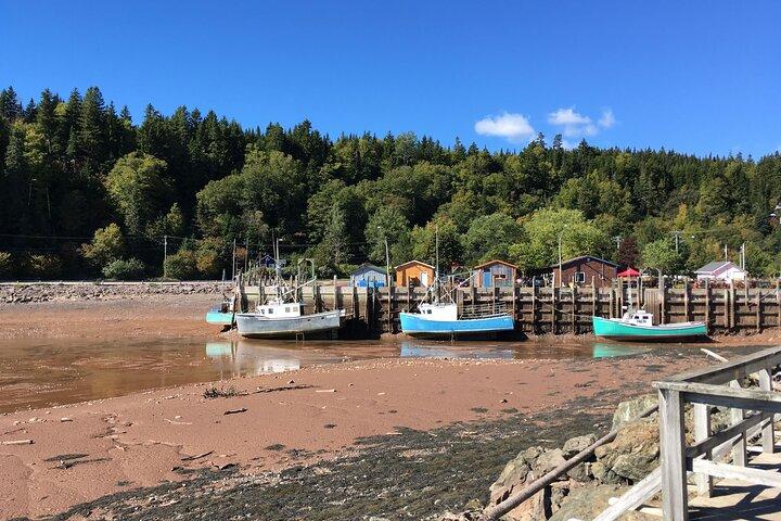 Gå Fundy Tours