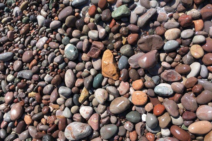Gå Fundy Tours