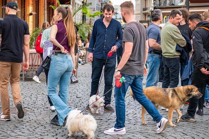 Visite historique privée à pied dans la vieille ville de Bucarest
