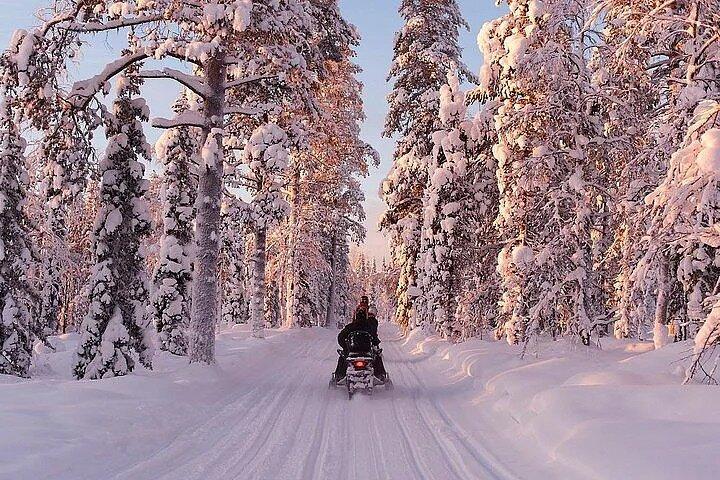 Full Day Snowmobile Safari