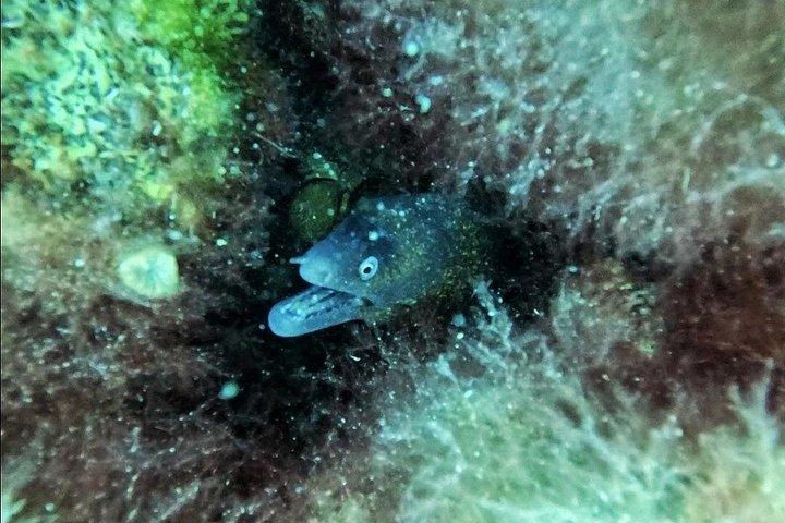 Mallorca PRIVATE Reservation*Scuba dive + photo/video