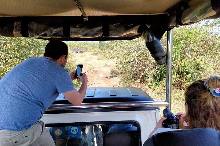 ミリッサ/ウェリガマからエラへの旅を伴うウダワラウェ国立公園サファリ