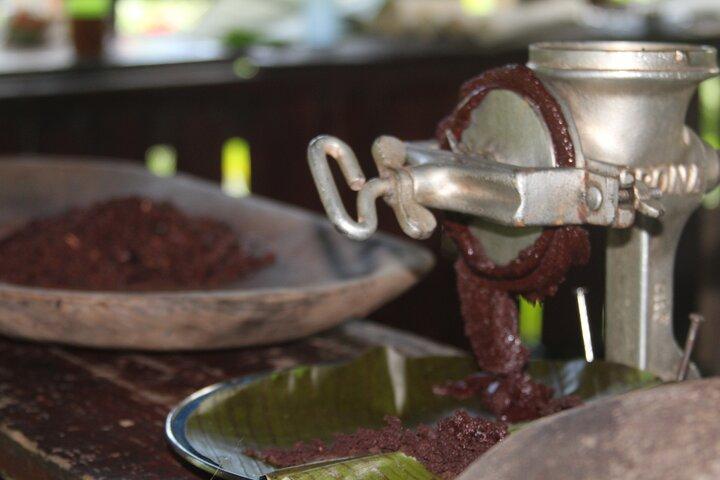 Tour Chamán plantas medicinales y cascadas