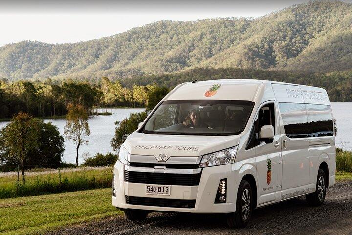 Bus Sali e Scendi - Tamborine Mountain da Gold Coast