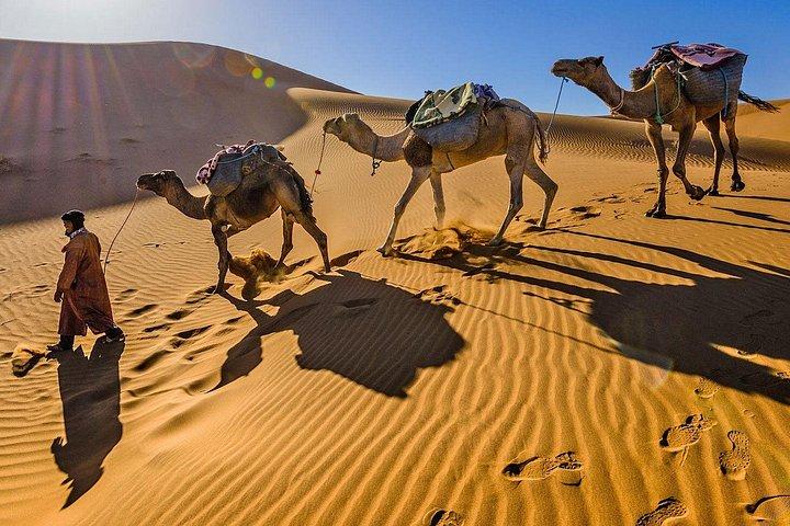 8 Days Camel Trek at the Desert in Morocco