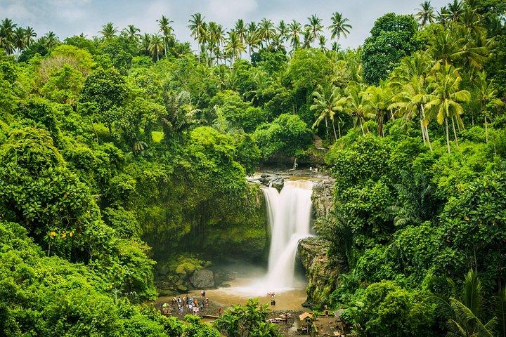 Ubud waterfall, rice terraces, and swing explore
