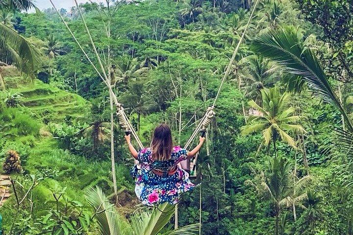 Ubud waterfall, rice terraces, and swing explore