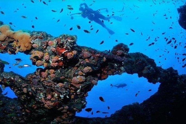 半日アカバグラスボトムボートツアー－素晴らしいサンゴ礁を見る