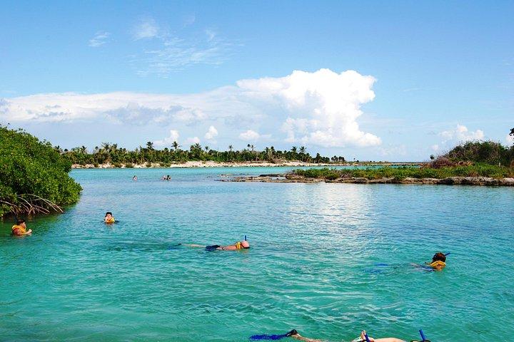 Snorkel & ATV (shared) with Transportation from Riviera Maya
