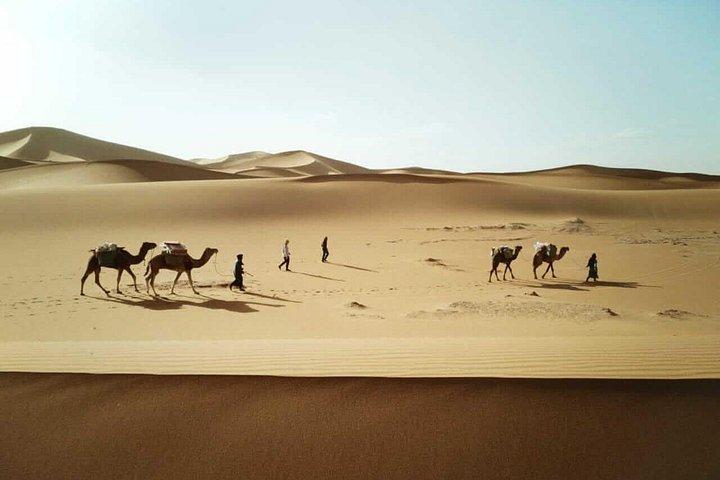 8 Days Camel Trek at the Desert in Morocco
