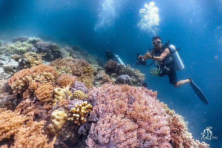 PADI Advanced Open Water Course Kota Kinabalu