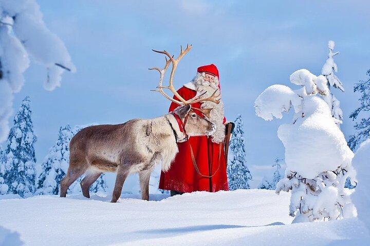 Points forts de Rovaniemi Day Tour