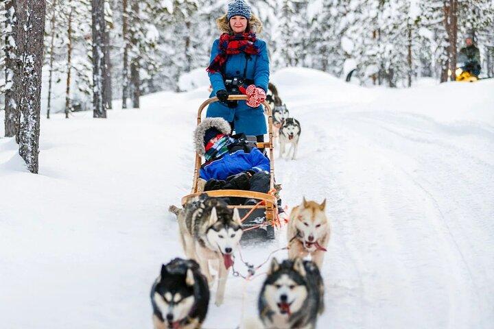 Snowy Trails 10 km Husky Safari fra Rovaniemi