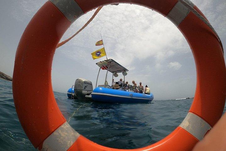 シーサファリ、イルカ、クジラ、シュノーケリング、スナック、ドリンク、2時間のプライベートスピードボート