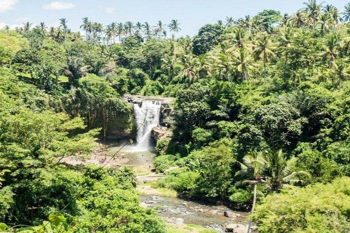 Ubud Highlight Private Charter with Jungle Swing