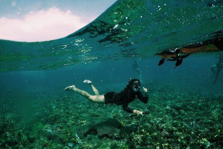 Excursión de esnórquel y de isla en isla en Boracay