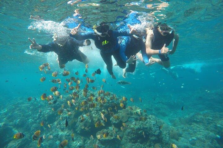 Snorkeling privato per piccoli gruppi e tour all inclusive di Nusa Penida occidentale da Bali