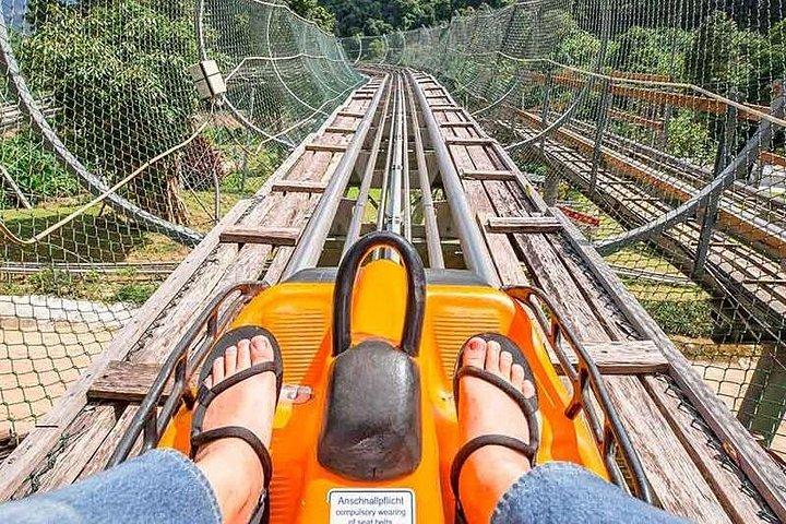 チェンマイ ジャングル コースター ジップライン アドベンチャー ATV イング エレファント プー プー ペーパー パーク