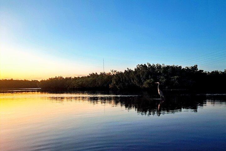 Excursion guidée en kayak de 2 heures au coucher du soleil et de nuit à Tarpon Springs