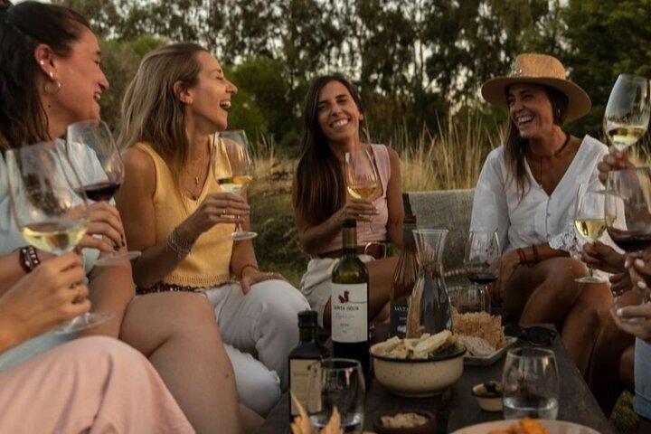 Visit 3 Wineries (El Enemigo Included)+ Lunch & Private Transport