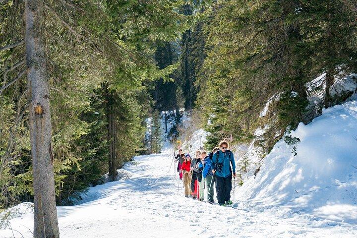 Excursão com raquetes de neve Wetterhorn Grindelwald