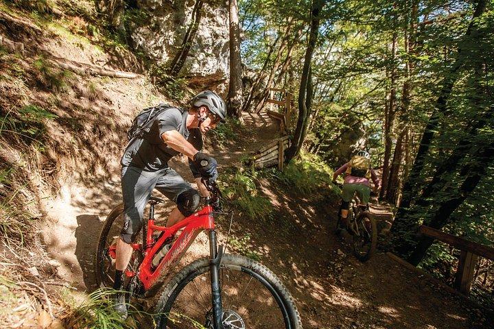 ガイド付きEバイクツアーインスブルック-アルツラーアルムシングルトレイル