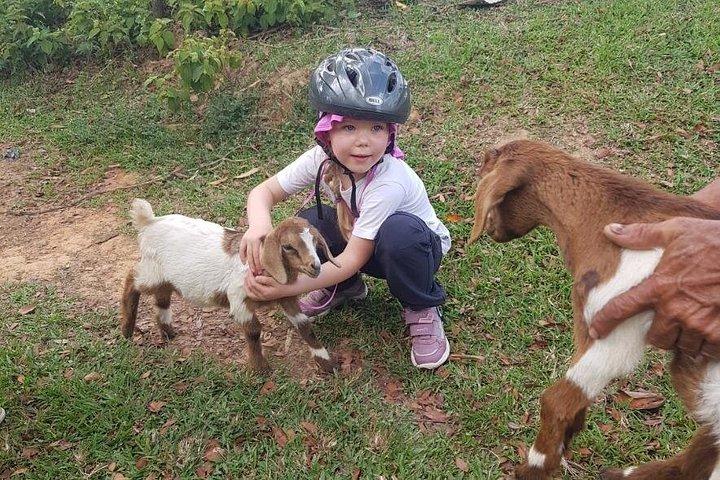 The Ultimate Dominican Horseback Riding Adventure