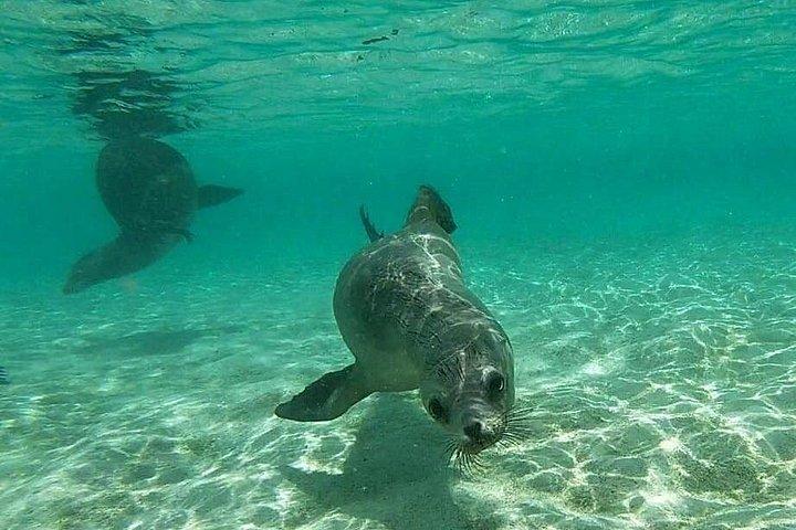 3 Days Galapagos Fast Visit