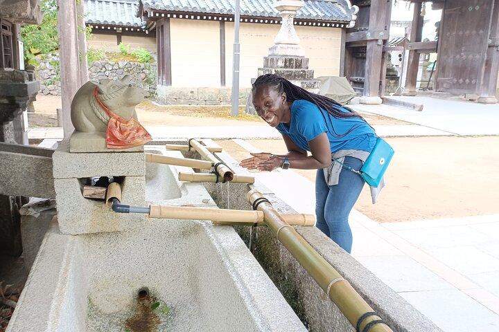 Heldags sightseeing til Kyoto højdepunkter