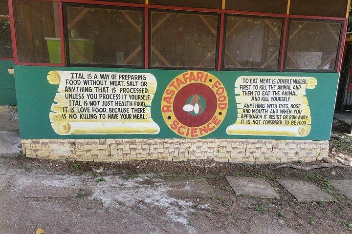Rastafari Indigenous Village Tour