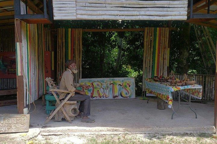 Rastafari Indigenous Village Tour