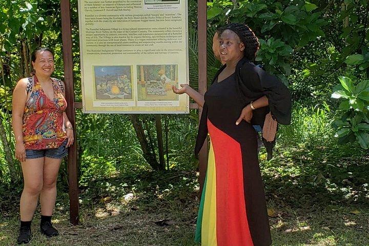 Rastafari Indigenous Village Tour