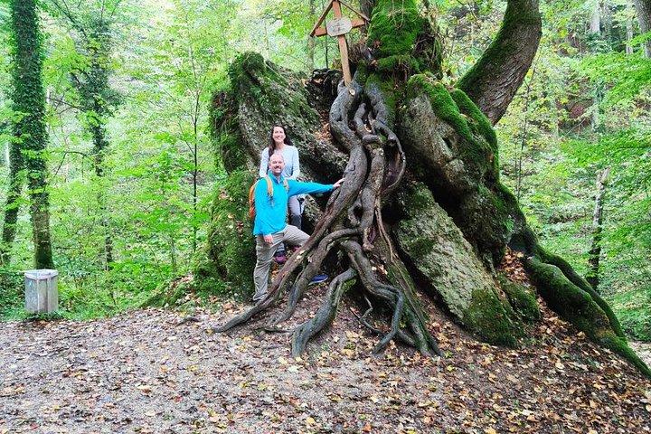 Private Andechs Monastery Brewery Hike from Munich