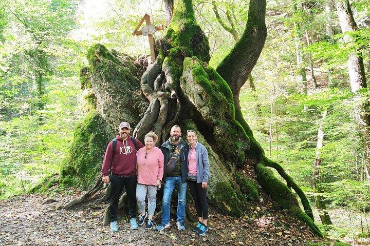 Private Andechs Monastery Brewery Hike from Munich