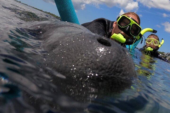 Excursão de mergulho com snorkel em barco particular VIP com guia na água e fotógrafo