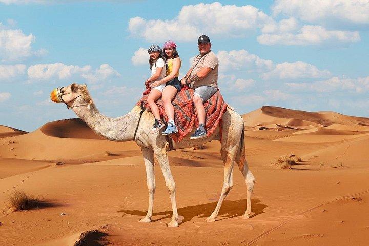 Dubai Desert Adventure Half-Day Tour