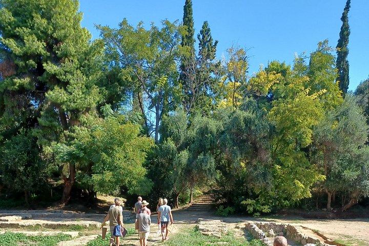 Philosophy Experiential Workshop at Plato's Academy Park -Athens