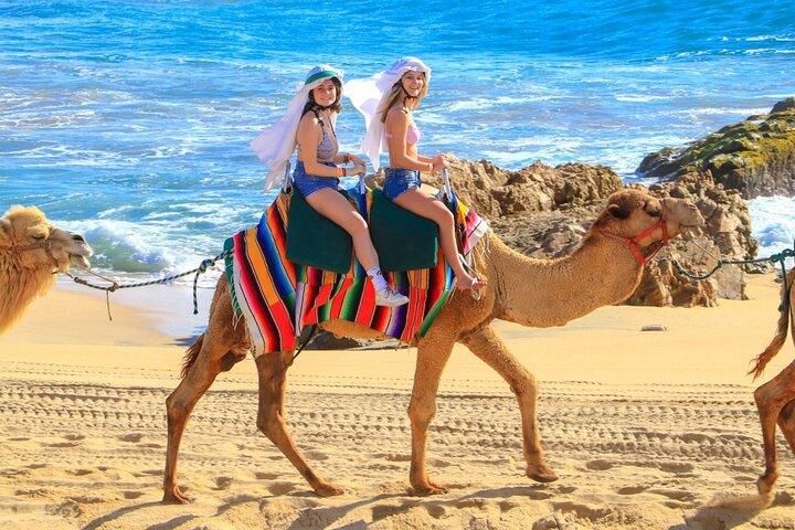 Combo Camel Beach Ride og UTV 4X4 Cabo Eventyr, Tequila &