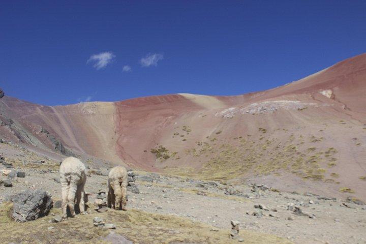 Montagna arcobaleno Vinicunca - Cusco