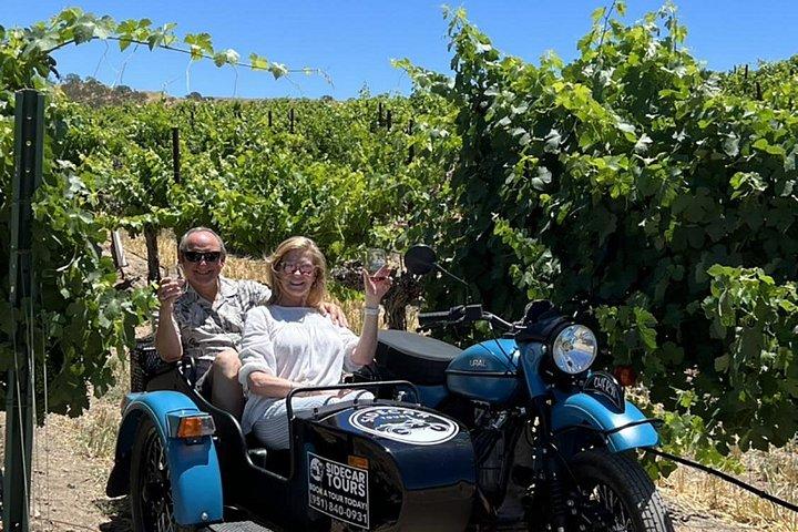 Private Sidecar Winery Tour through Paso Robles