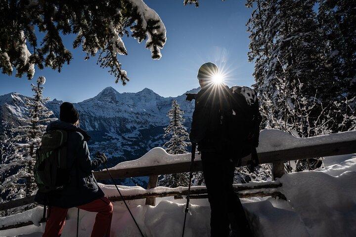 Schneeschuh- und Rodeltour mit Käsefondue