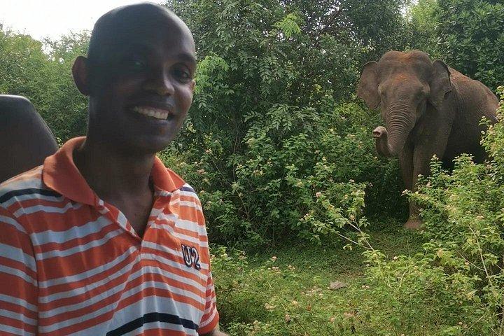 Paradise Udawalawe Safari Tours